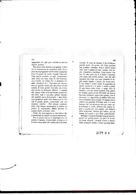 Fotogramma D 6