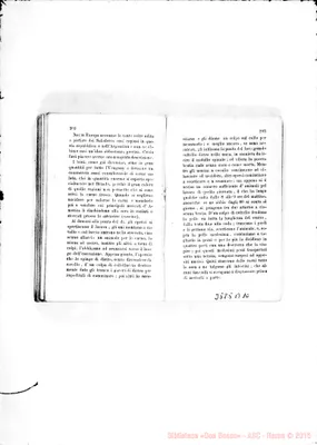 Fotogramma B 10