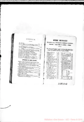 Fotogramma D 12
