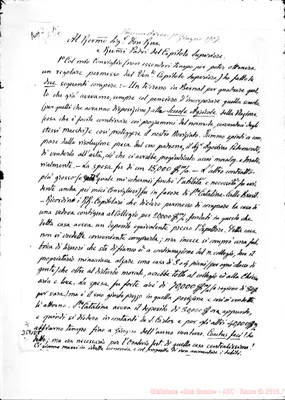 Fotogramma D 8