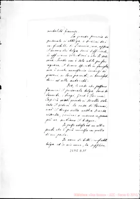 Fotogramma D 11