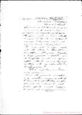 Fotogramma C 5