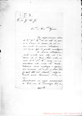 Fotogramma C 8