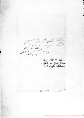 Fotogramma C 11