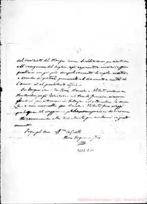 Fotogramma D 11