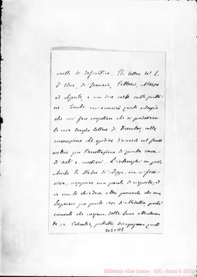 Fotogramma B 8