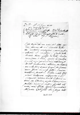 Fotogramma D 11