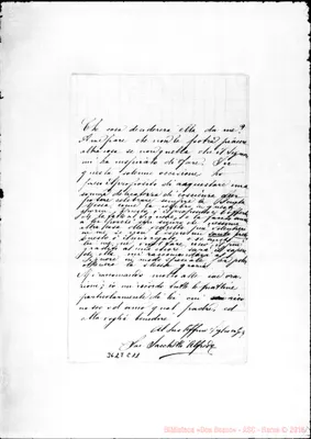 Fotogramma C 11