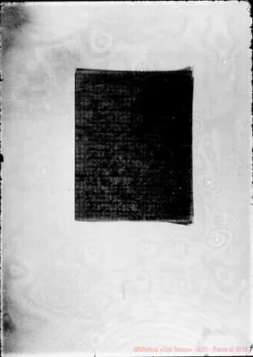 Fotogramma D 10