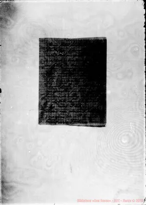 Fotogramma D 11