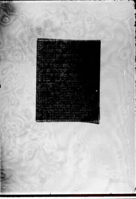 Fotogramma D 12