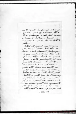 Fotogramma D 12
