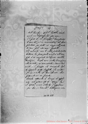 Fotogramma B 8