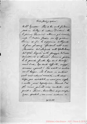 Fotogramma B 8