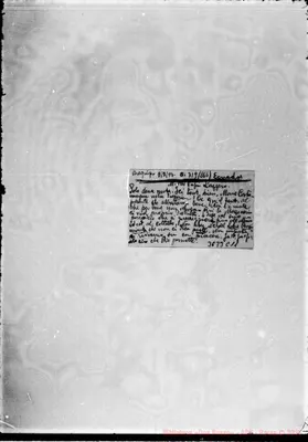Fotogramma C 11