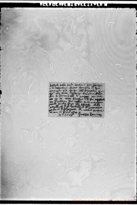 Fotogramma C 12