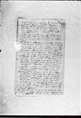 Fotogramma E 6