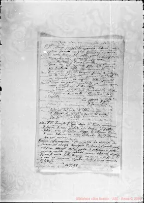 Fotogramma E 8