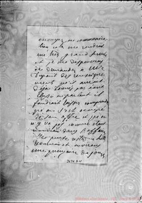 Fotogramma D 11