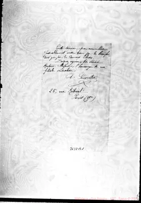 Fotogramma B 1