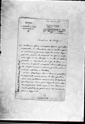 Fotogramma C 11