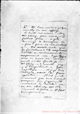 Fotogramma D 11