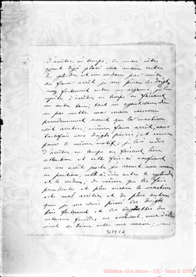 Fotogramma C 2