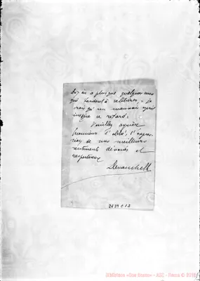 Fotogramma C 12