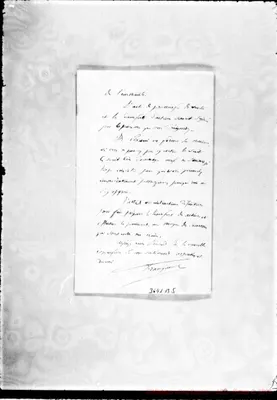 Fotogramma B 5