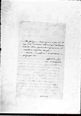 Fotogramma D 11