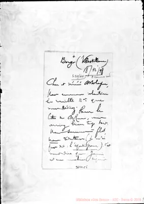 Fotogramma C 5