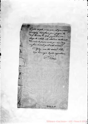 Fotogramma C 11