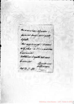 Fotogramma C 1