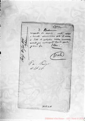 Fotogramma D 11