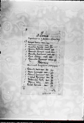 Fotogramma B 10
