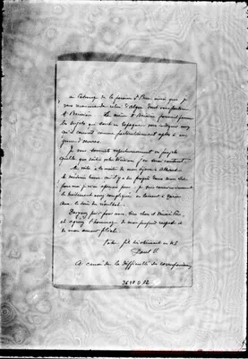 Fotogramma D 12
