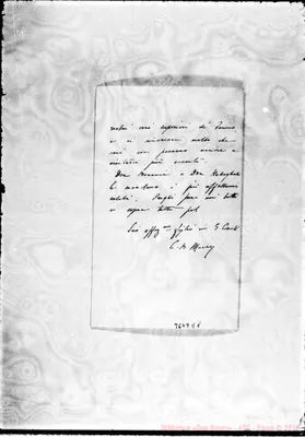 Fotogramma E 8
