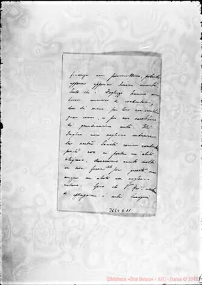 Fotogramma D 11