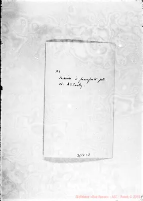 Fotogramma E 8