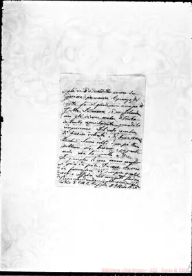 Fotogramma E 9