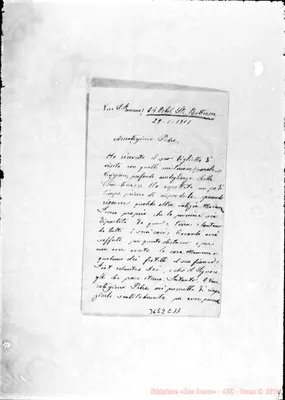 Fotogramma C 11