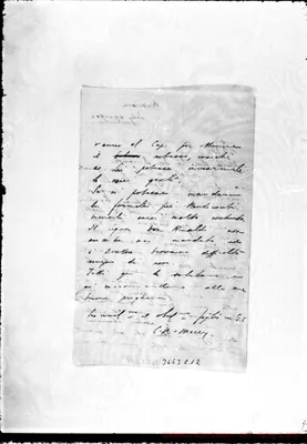 Fotogramma C 12
