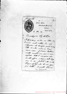 Fotogramma D 11