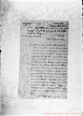 Fotogramma D 9