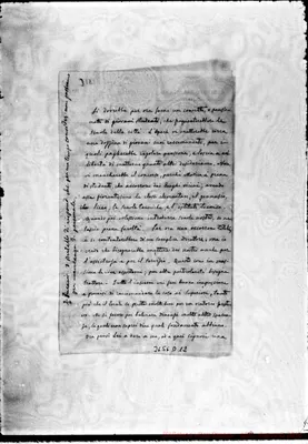 Fotogramma D 12
