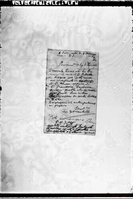 Fotogramma D 12