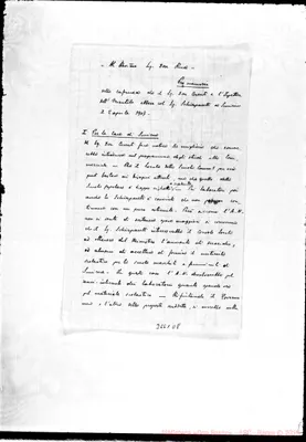 Fotogramma D 8