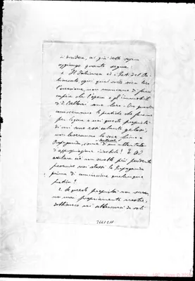 Fotogramma E 11