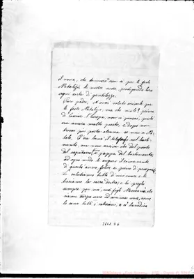 Fotogramma D 6