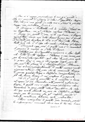 Fotogramma E 11